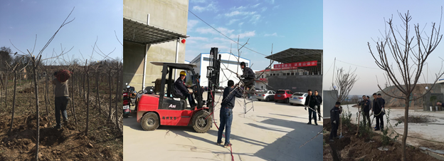 寶雞捷銳“迎春風(fēng)，綠家園”植樹節(jié)(圖2)